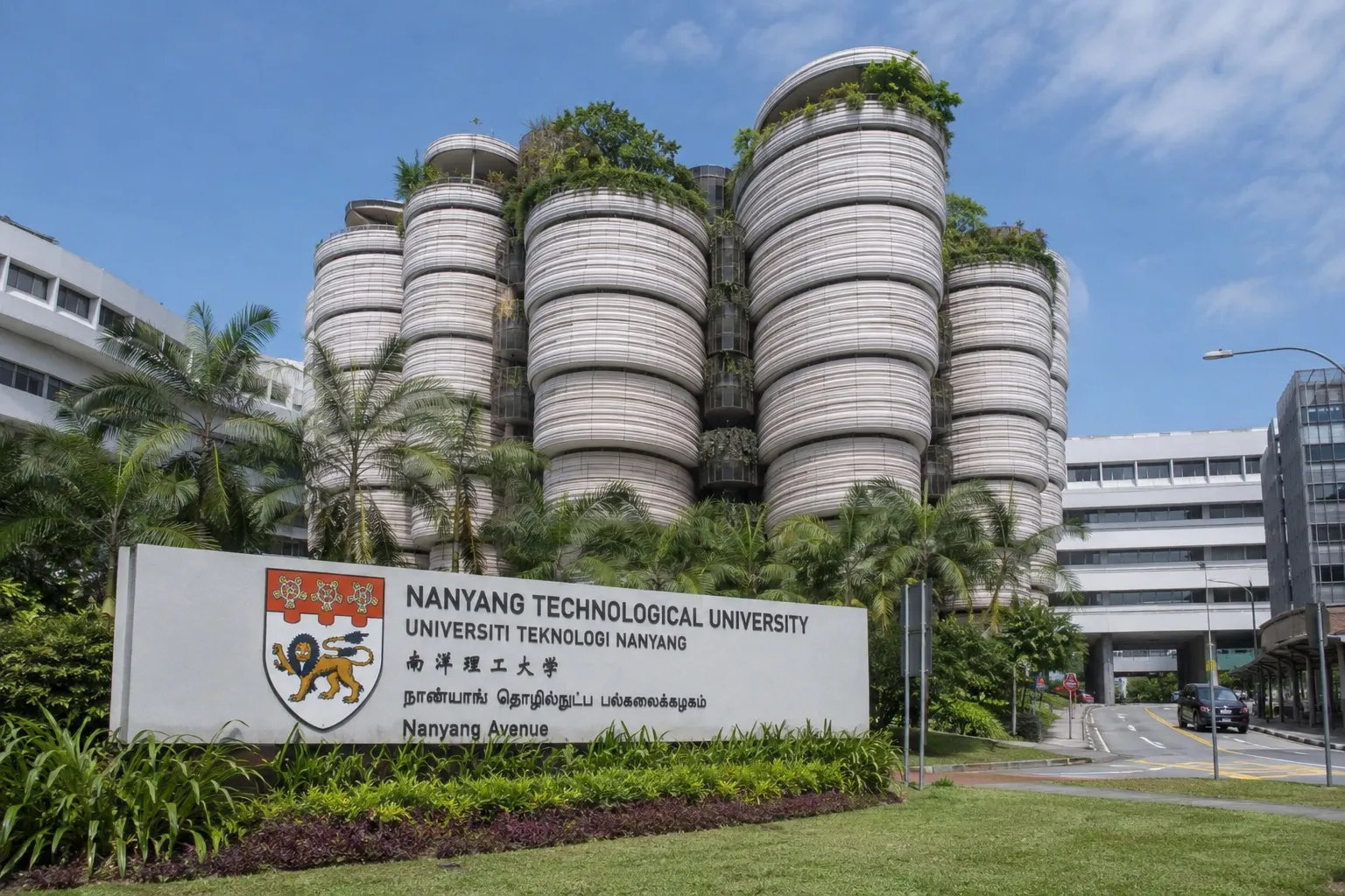 International university